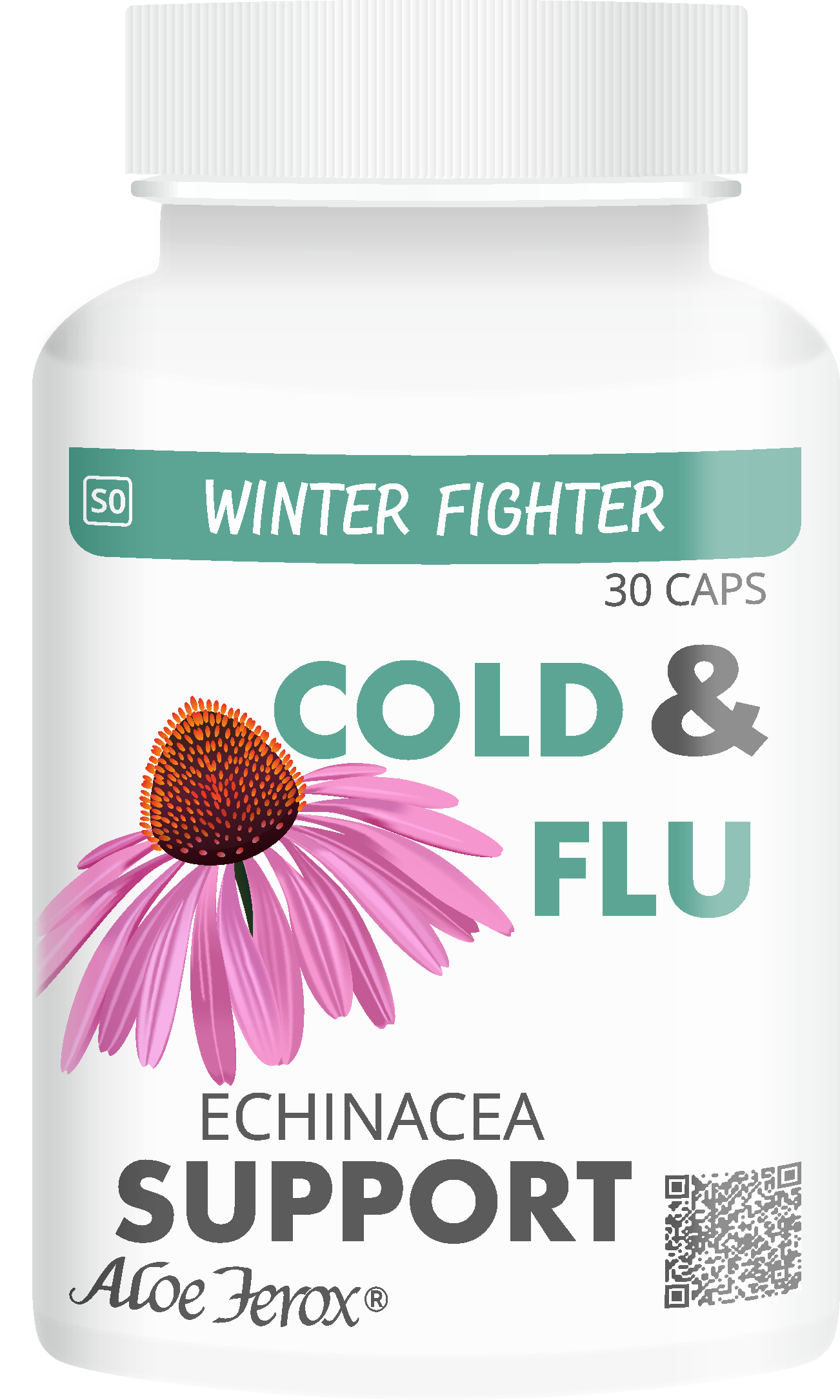 WINTER FIGHTER - Supplement