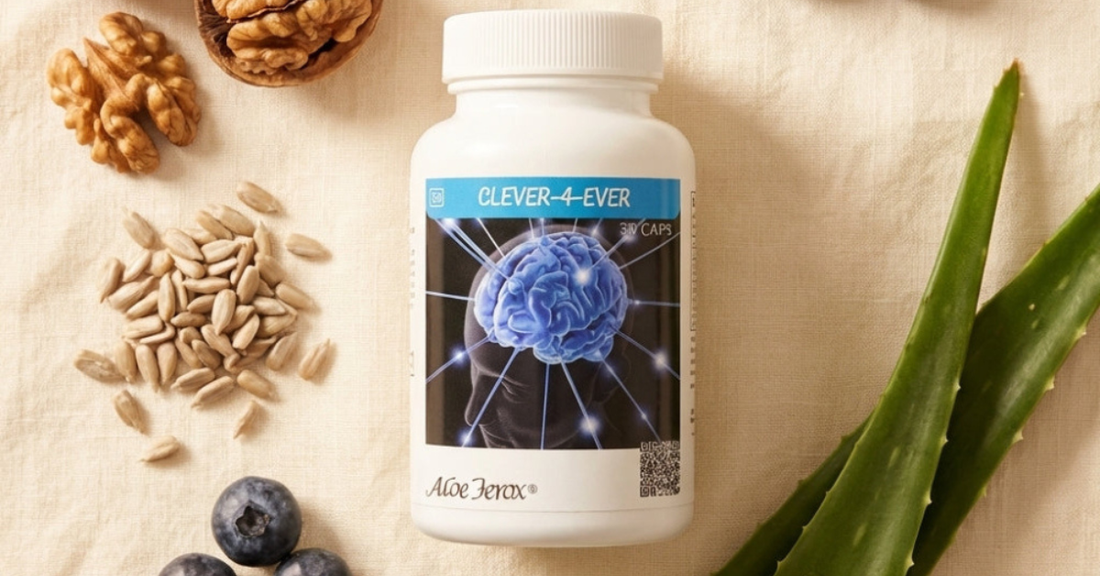 Your Brain Ages Too, Here's How Clever-4-Ever Helps You Support It