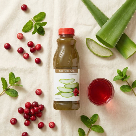 Bottle of aloe ferox juice with cranberries and aloe leaves on a light background